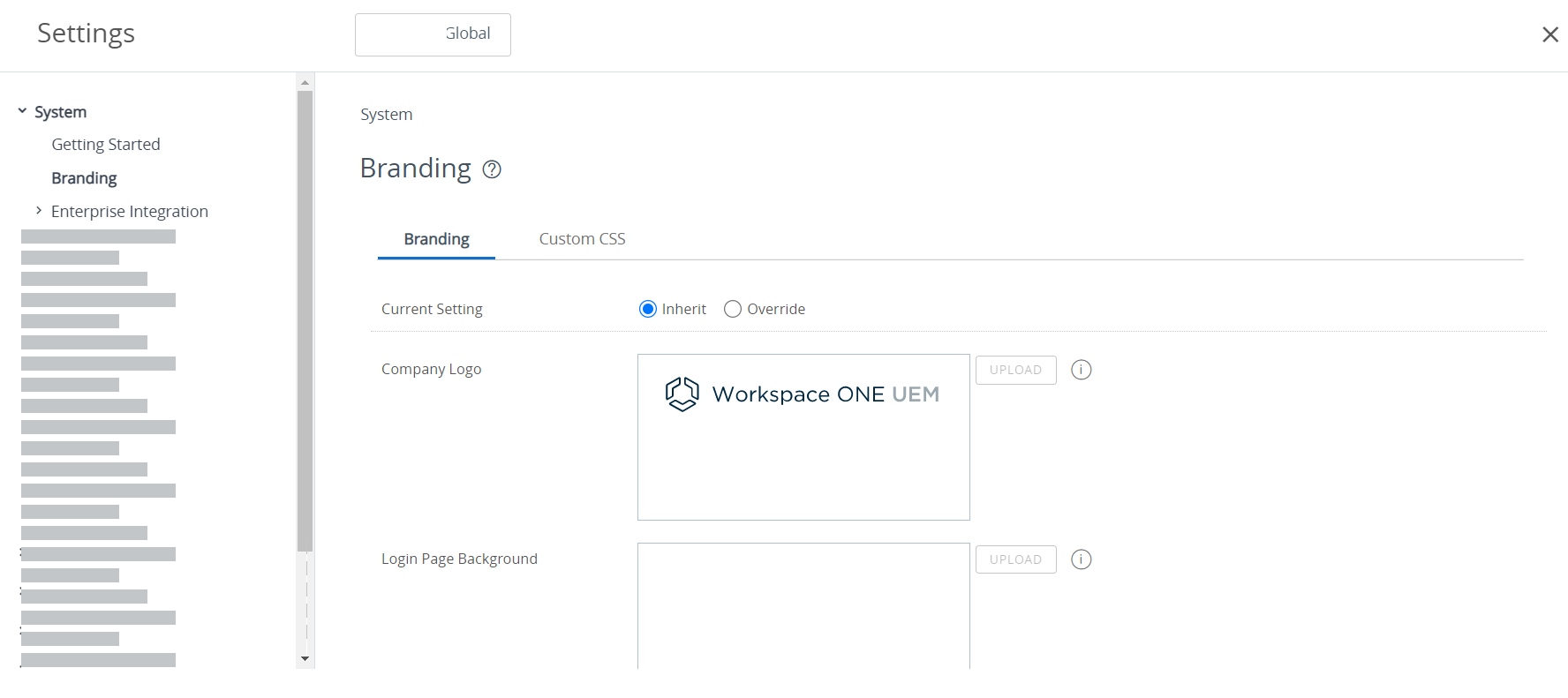 Branding settings showing branding and custom css options