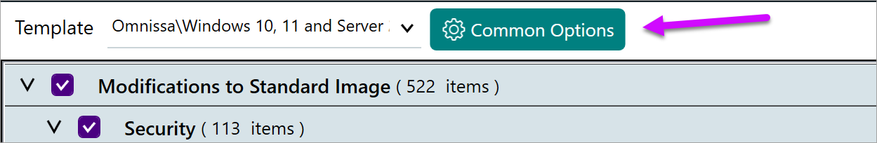 Common options button Common options button