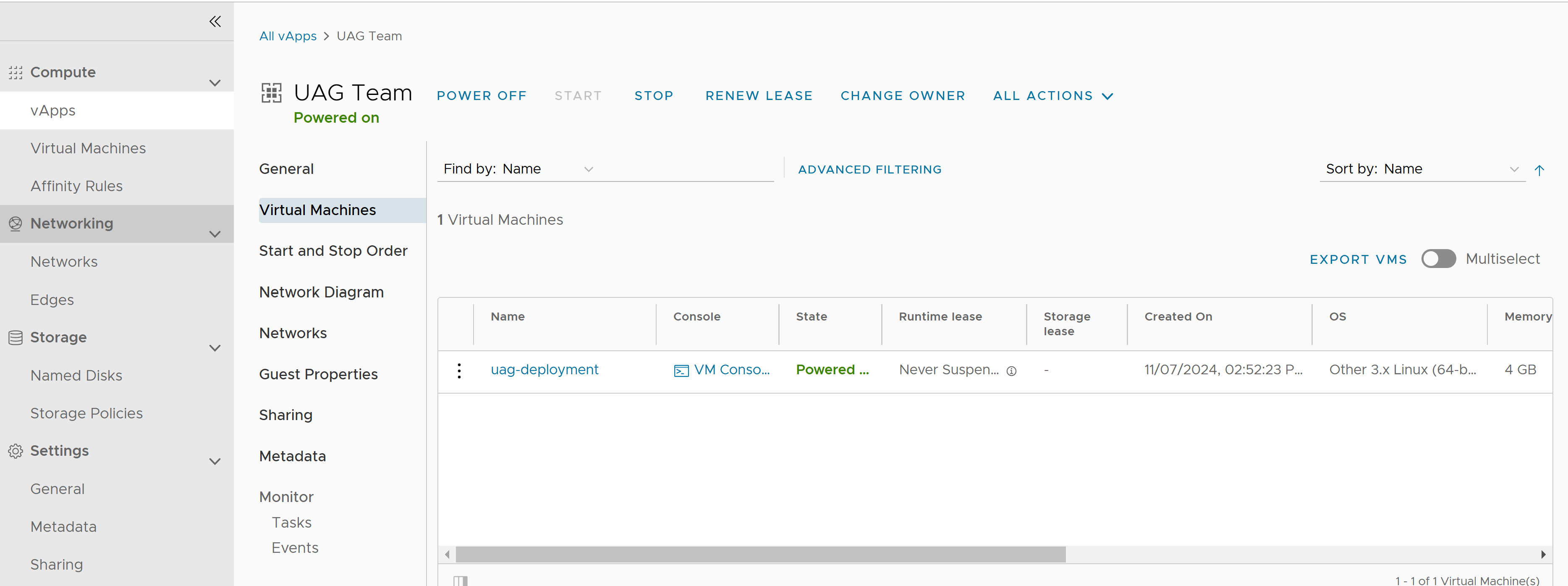 Virtual machine created on vCloud Director