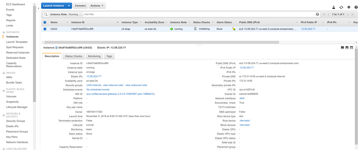 Description tab in the Instances settings shows the configuration of UAG instance.