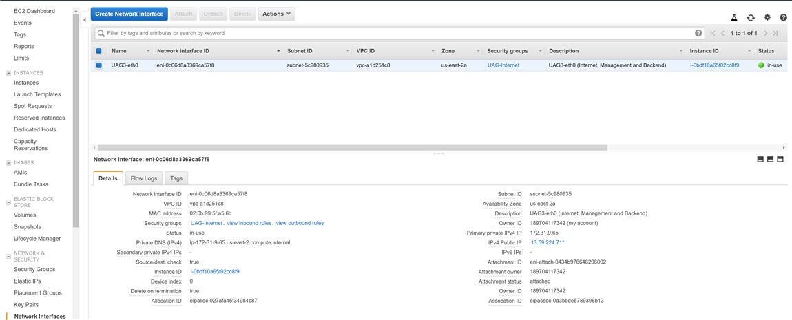 Sample network interface created for the UAG instance using INI file settings.