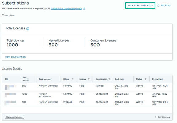 Subscriptions page with View Perpetual Keys link in Enterprise Infrastructure section Subscriptions page with View Perpetual Keys link in Enterprise Infrastructure section