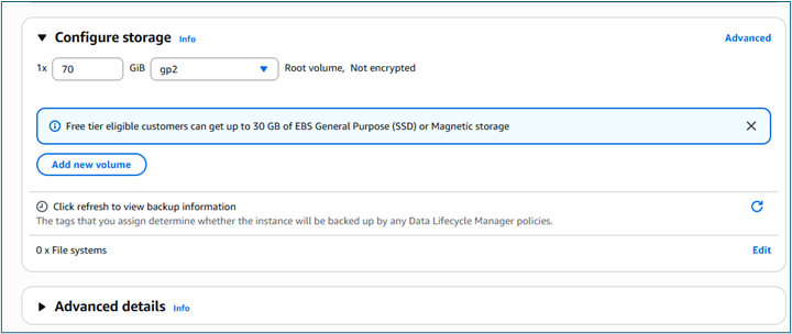 Configure storage section showing volume type, size in GiB, and IOPS configuration options