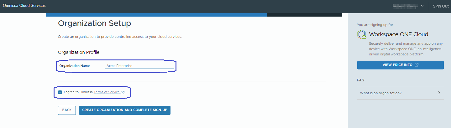 On the Organization Setup page in the Cloud Service console, enter a name in the Organization Name field