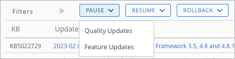 Shows the Windows Updates buttons that were added. 