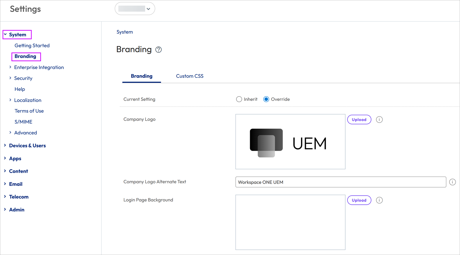 This screenshot shows the Branding system setting menu.
