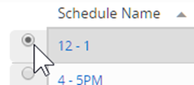 This screenshot shows the radio button selector to the left of the time schedule name that appears in the listing.
