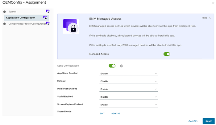 This screen shows the OEMConfig - Assignment screen with the Application Configuration tab highlighted, showing all the available config options.