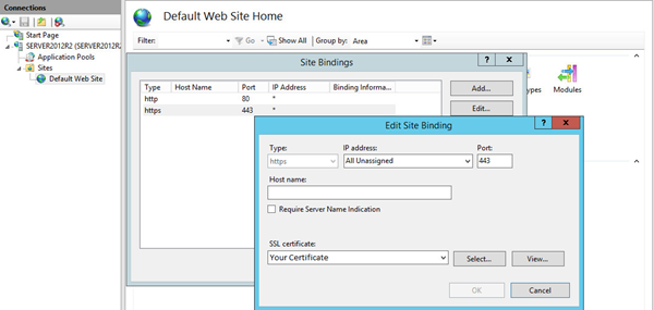 The Edit Site Binding screen where nothing is altered. The Edit Site Binding screen where nothing is altered.