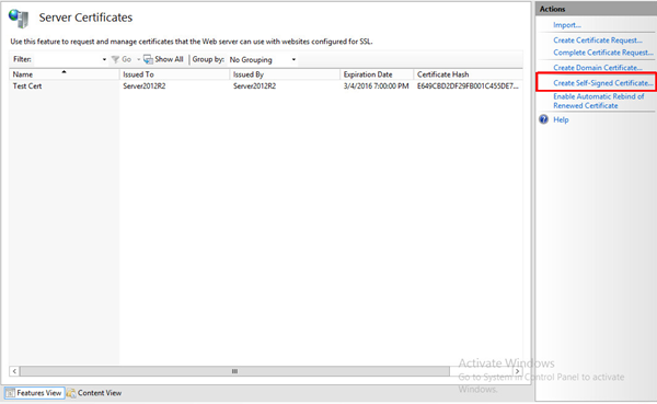 Server Certificate Actions with Create Self-Signed Certificate selected. Server Certificate Actions with Create Self-Signed Certificate selected.