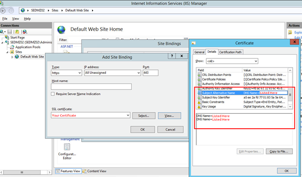 The Certificate screen where you verify your DNS is listed in the Subject Alternative Name.