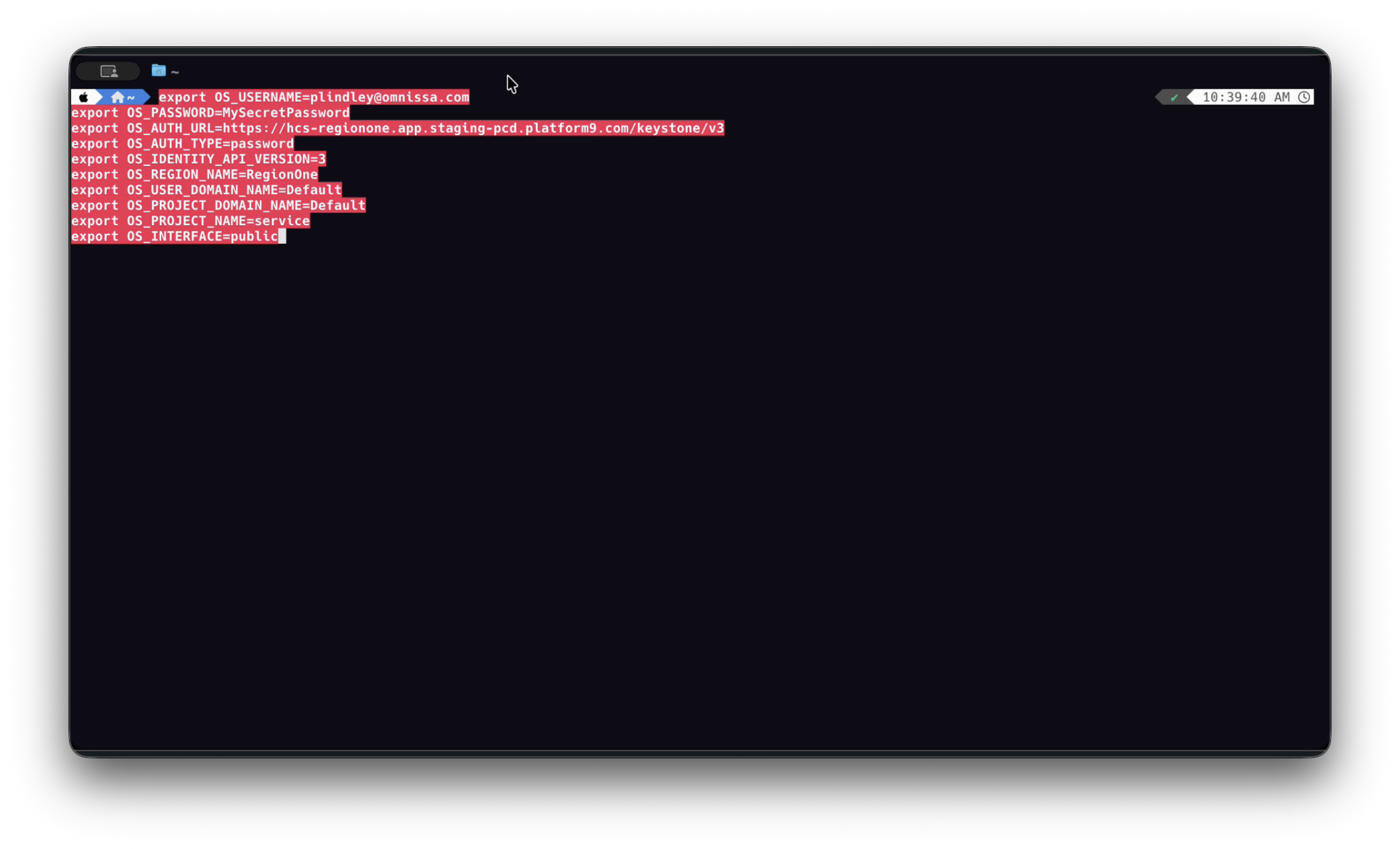 Ventana de terminal en la que se muestran los comandos de variables de entorno copiados y pegados