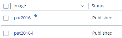 Screenshot showing both images listed at the end of the process