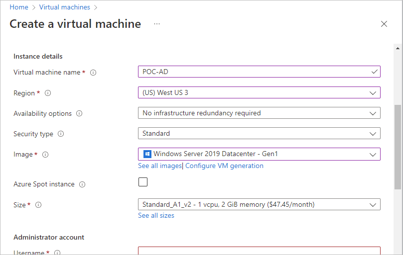 Screenshot of our sample values selected for the VM instance details.