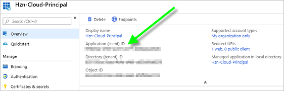 Screen of the service principal's details with an arrow pointing to the Application ID.