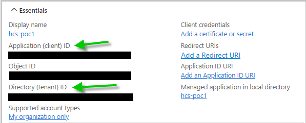 Screenshot that illustrates the essential details that the Azure portal displays for our example app registration with name hcs-poc1.