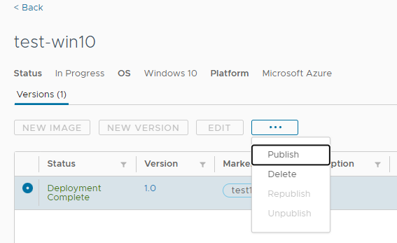 Screenshot depicting selection of version 1 of an image and the Publish menu action. Screenshot depicting selection of version 1 of an image and the Publish menu action.