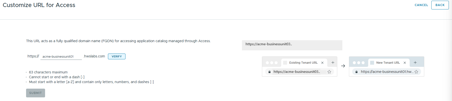 Entrez un nom pour votre URL Access personnalisée.