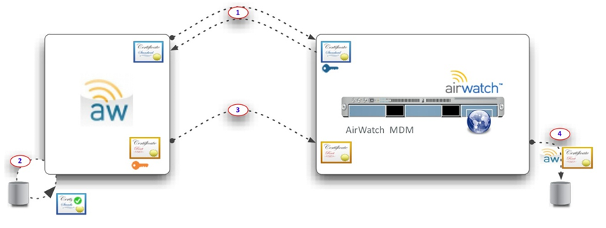 Image illustrates the certificate exchange between Workspace ONE Intelligent Hub application and the server