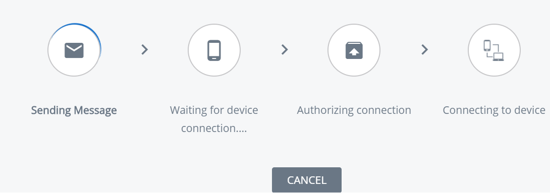 Remote Support window