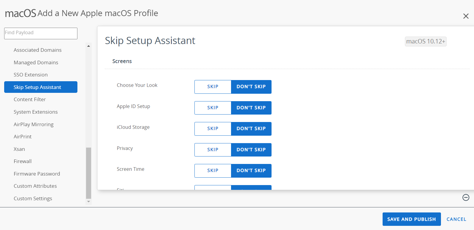The skip setup assistant payload page displays various options to skip setup screens