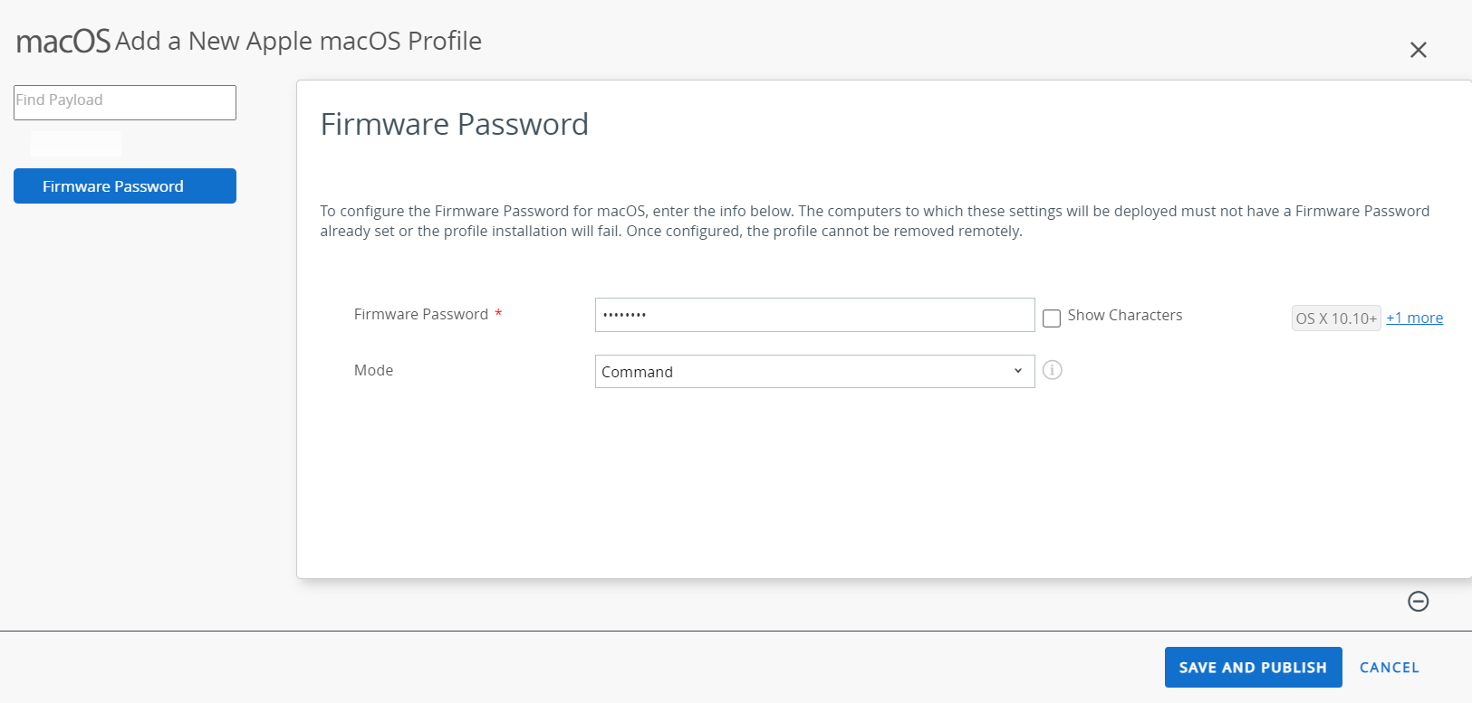 The Firmware payload displays the options to setup firmware password