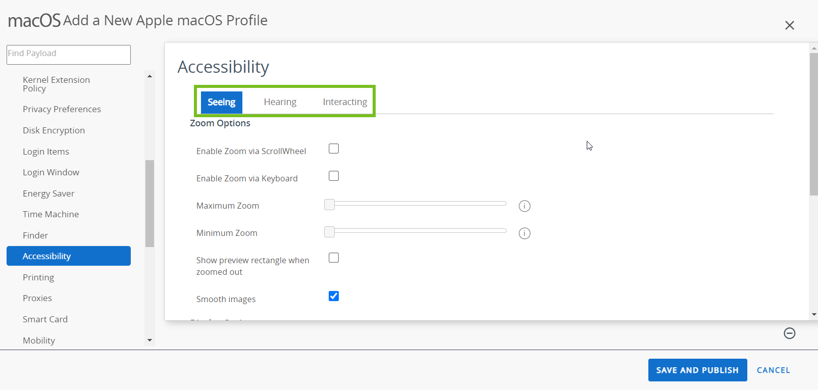 The Accessibility payload page with Seeing, Hearing and Interacting options highlighted