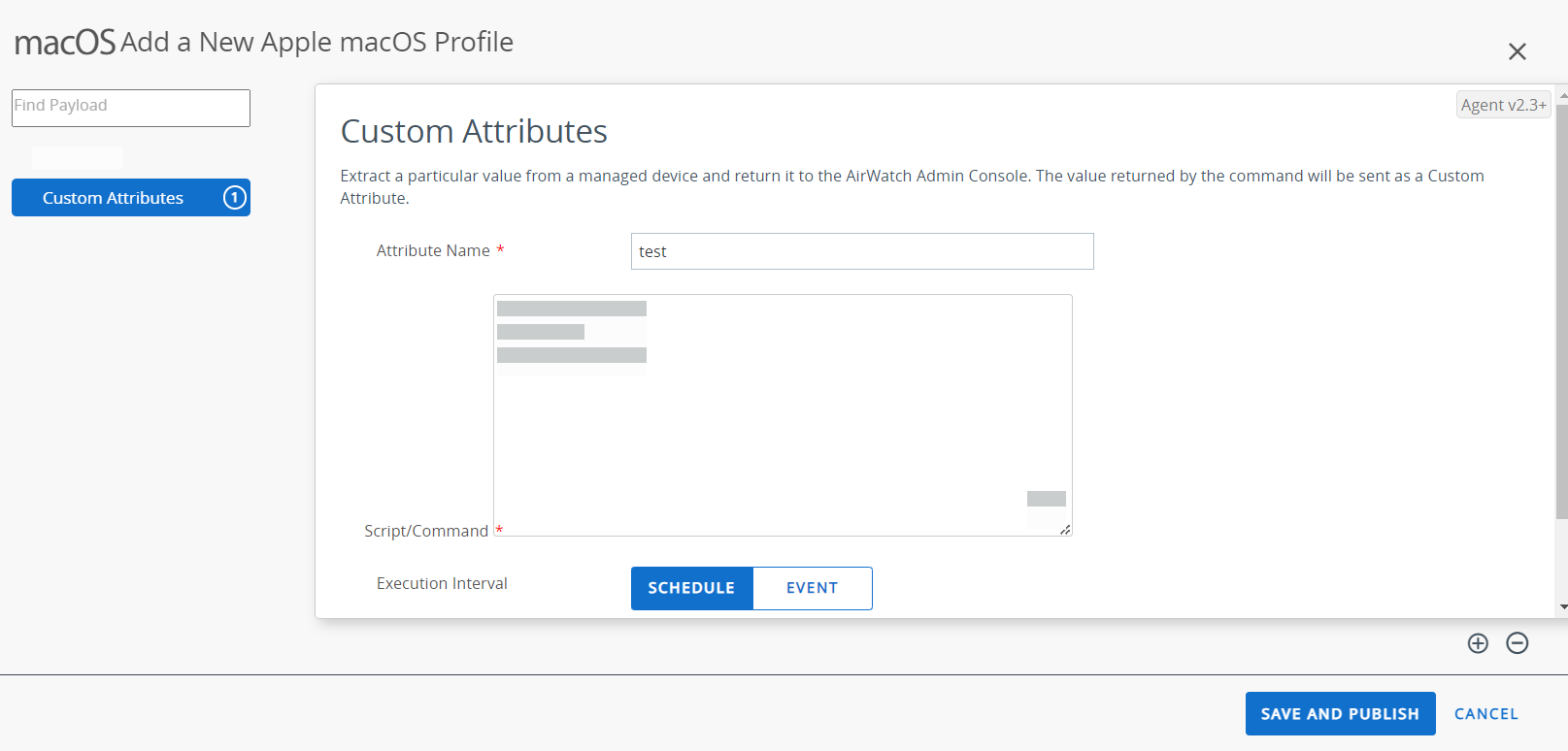 The Custom Attributes payload