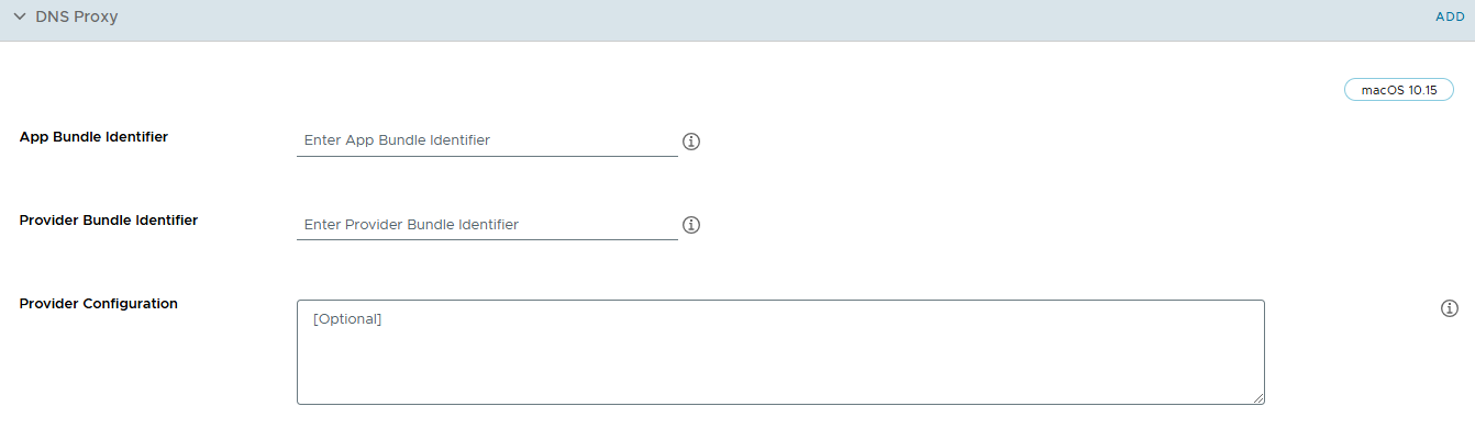 The DNS Proxy payload settings page displaying various options