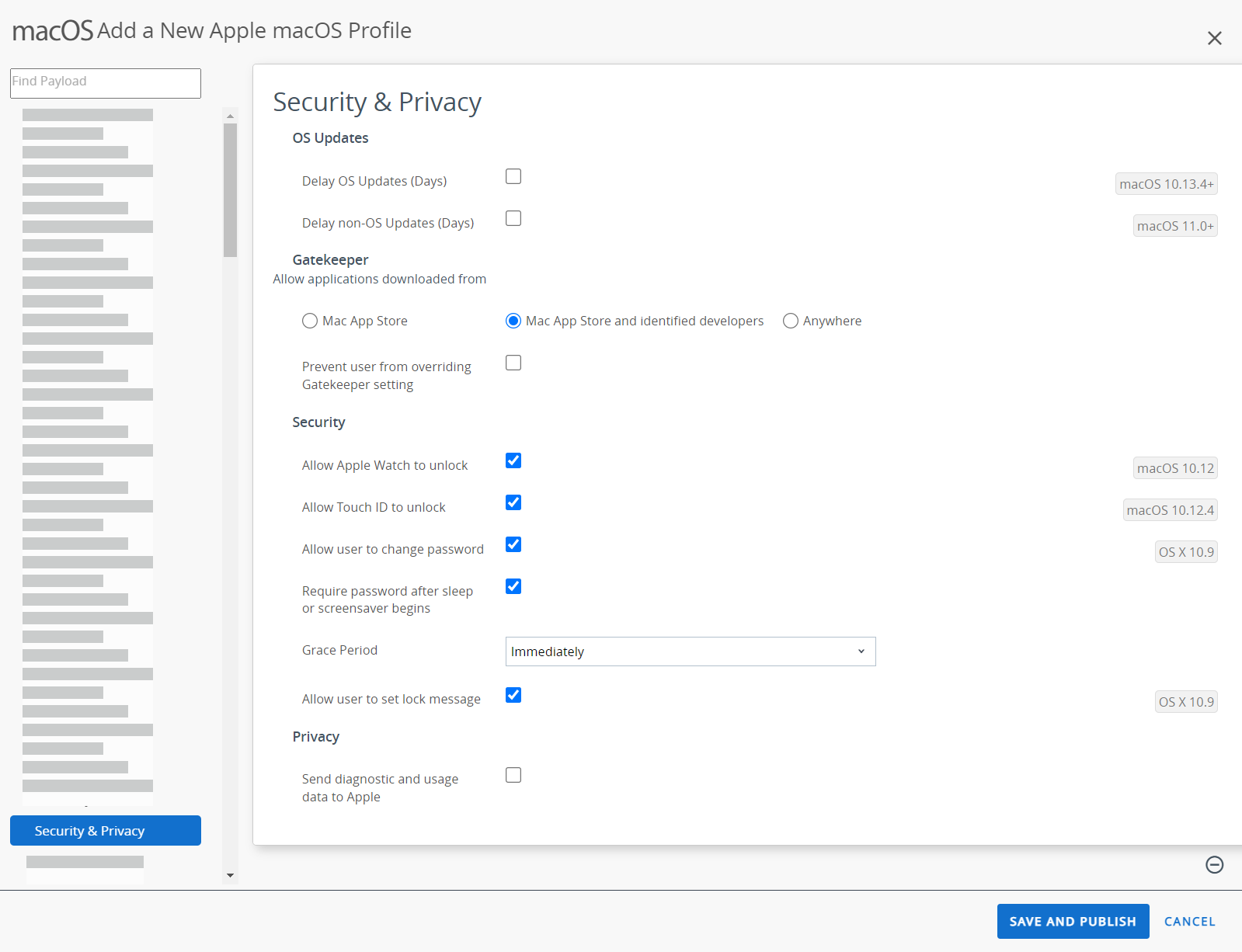 The security and privacy payload displays OS updates, gatekeeper and security settings