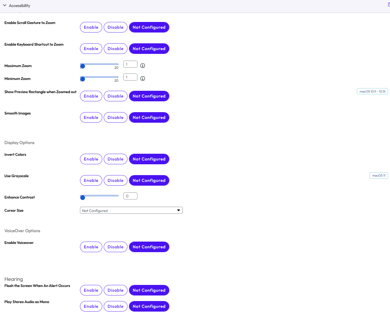 The Accessibility payload page with Seeing, Hearing and Interacting options highlighted