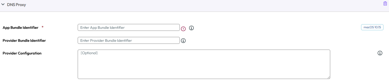 The DNS Proxy payload settings page displaying various options