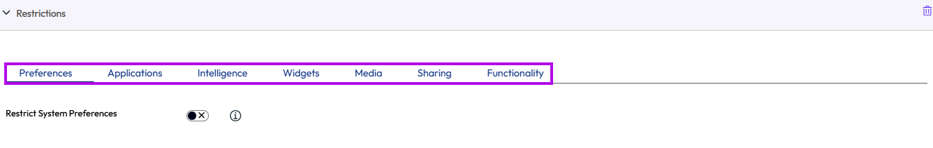 The restrictions payload displays to setup options for preferences, applications, widgets etc