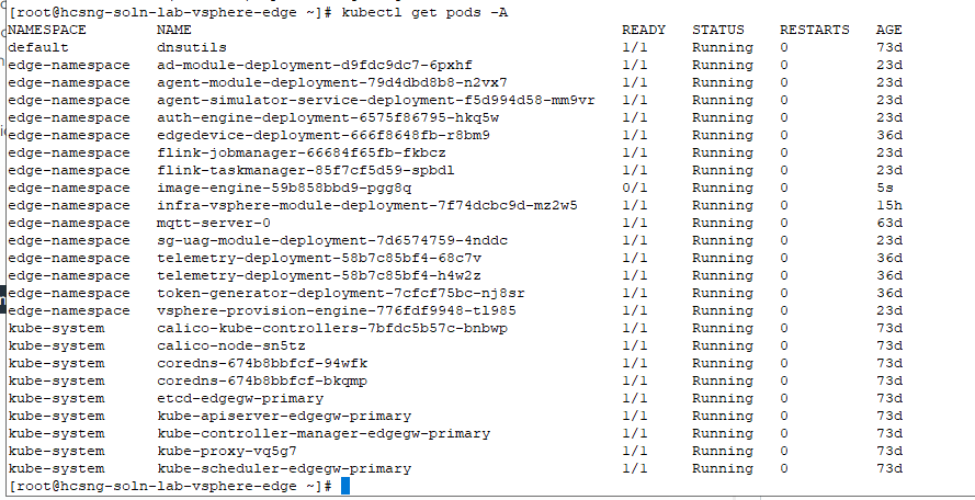 Saída da linha de comando mostrando implantação bem-sucedida do vSphere Edge com detalhes de endereço IP e conexão