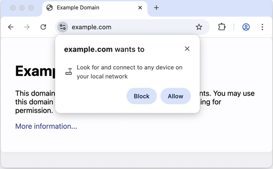 Browser prompt for local network access