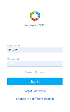 此螢幕擷取畫面顯示 Workspace ONE 登入頁面